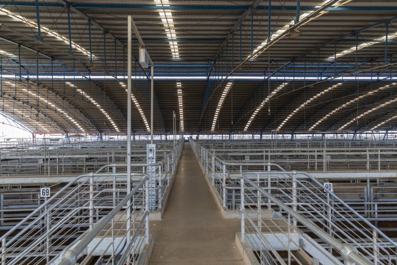 Livestock Barn Construction in Conroe, TX