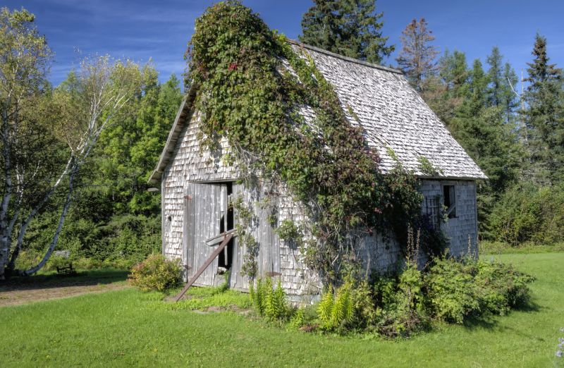 Shed Vs Barn Vs Gazebo: Choosing The Right Structure For Your Property
